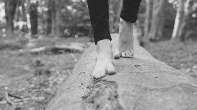 裸足で木の上を歩く